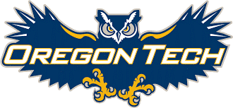 Owl Logo Owl Logo