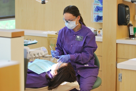 the choice of the dental hygiene as the career Dental hygiene and dental therapy the entry requirements for these courses vary and you are advised to contact the school of your choice for a prospectus. the choice of the dental hygiene as the career Dental hygiene and dental therapy the entry requirements for these courses vary and you are advised to contact the school of your choice for a prospectus.