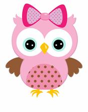 baby girl owl